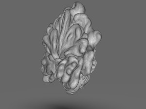 The Last Of Us Clicker Head 3D Print Model