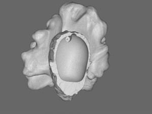 The Last Of Us Clicker Head 3D Print Model