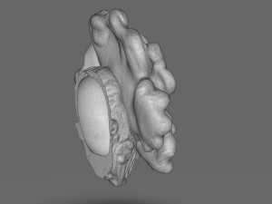 The Last Of Us Clicker Head 3D Print Model