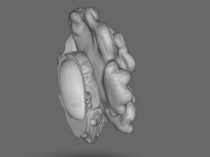 The Last Of Us Clicker Head 3D Print Model