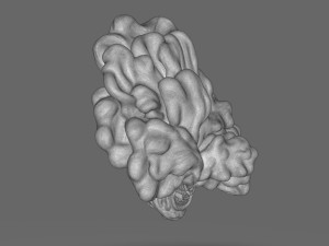 The Last Of Us Clicker Head 3D Print Model