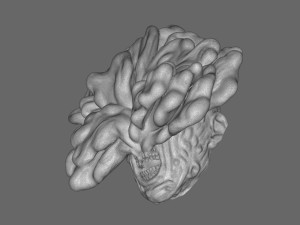 The Last Of Us Clicker Head 3D Print Model