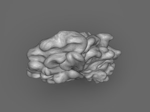 The Last Of Us Clicker Head 3D Print Model