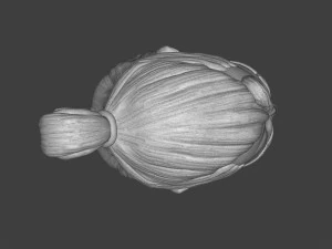 Man At Arms Head 3D Print Model