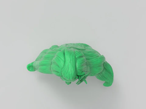 Tropical Girl Head 3D Print Model