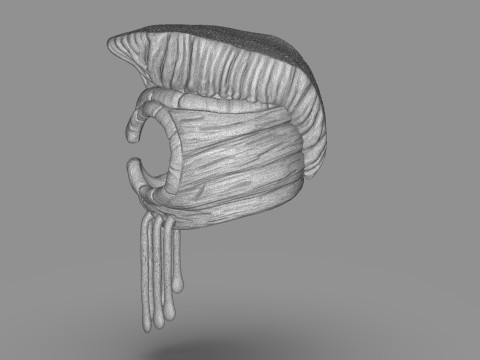 Hawaiian Warrior Helmet 3D Принт Модель
