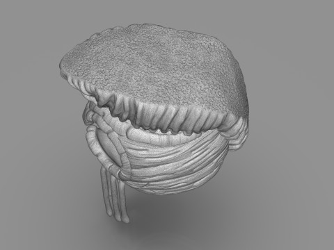 Hawaiian Warrior Helmet 3D Принт Модель