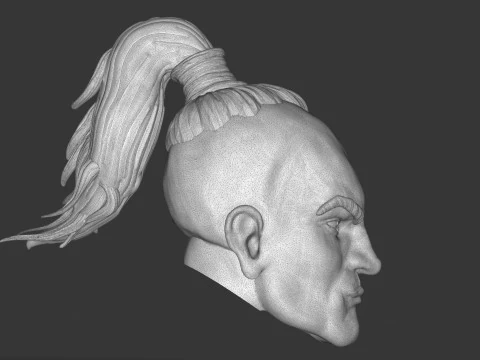 Hawaiian Warrior Head 3D Print Model