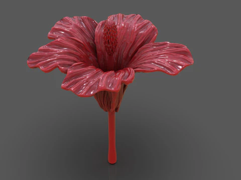Hibiscus Flower Sculpt 3D Print Model