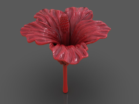 Hibiscus Flower Sculpt 3D 프린트 모델