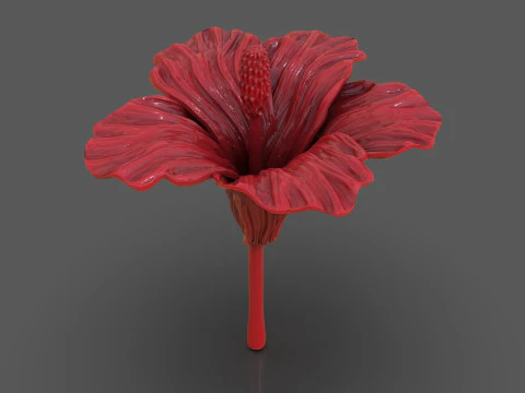Hibiscus Flower Sculpt 3D Print Model