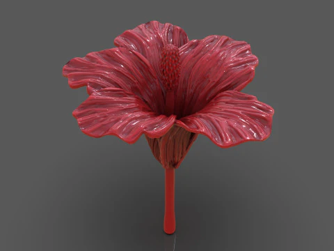 Hibiscus Flower Sculpt 3D Print Model