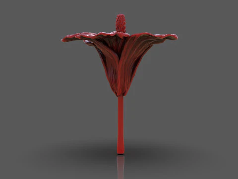 Hibiscus Flower Sculpt 3D Print Model