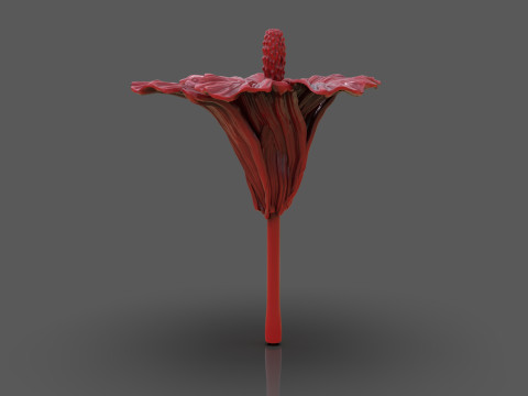 Hibiscus Flower Sculpt 3D 프린트 모델