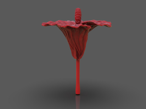 Hibiscus Flower Sculpt 3D 프린트 모델