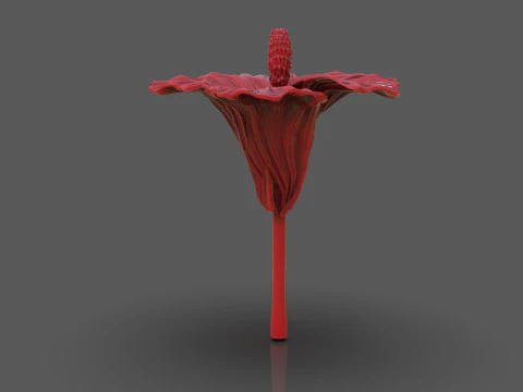Hibiscus Flower Sculpt 3D Print Model