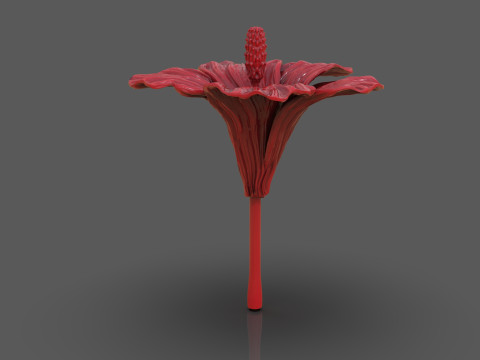 Hibiscus Flower Sculpt 3D 프린트 모델
