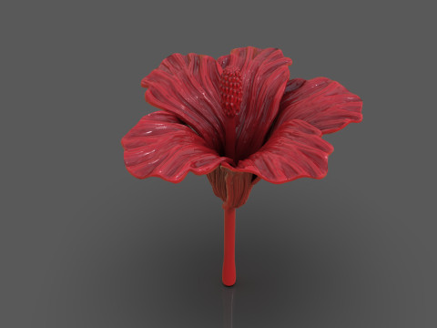 Hibiscus Flower Sculpt 3D 프린트 모델
