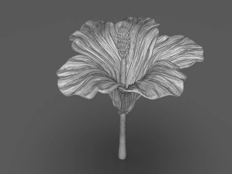 Hibiscus Flower Sculpt 3D Print Model