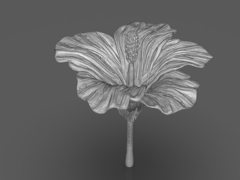 Hibiscus Flower Sculpt 3D 프린트 모델
