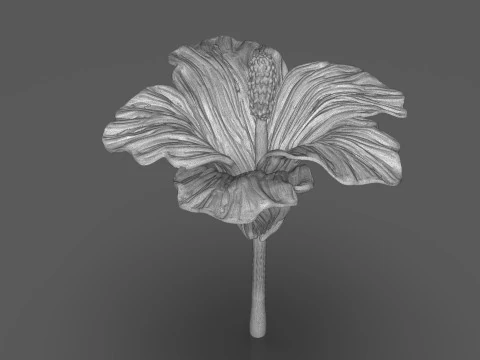 Hibiscus Flower Sculpt 3D Print Model