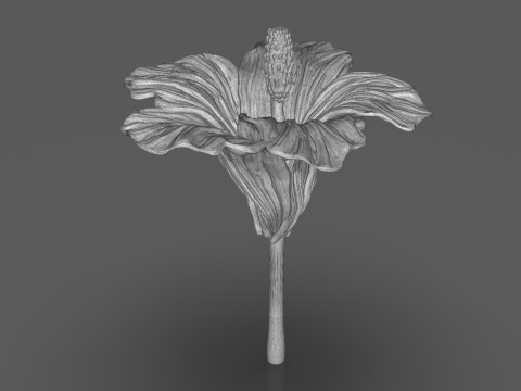 Hibiscus Flower Sculpt 3D 프린트 모델
