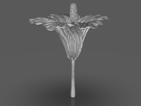 Hibiscus Flower Sculpt 3D 프린트 모델
