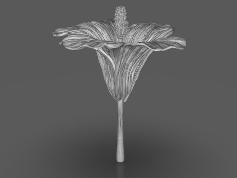 Hibiscus Flower Sculpt 3D 프린트 모델