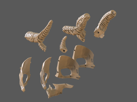 Skull Masks Pack 3 Horns Modèles 3D en vedette