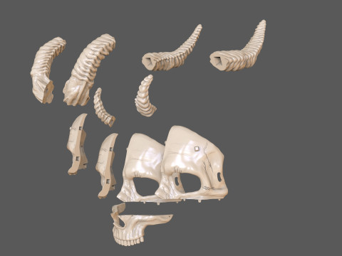 Skull Masks Pack 3 Horns Modèles 3D en vedette