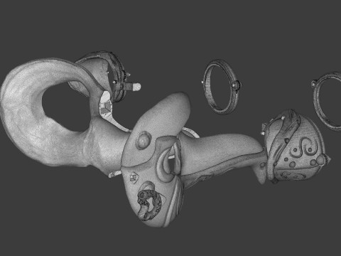 Royal Steampunk Penguin Mask Modelo de impresión 3D