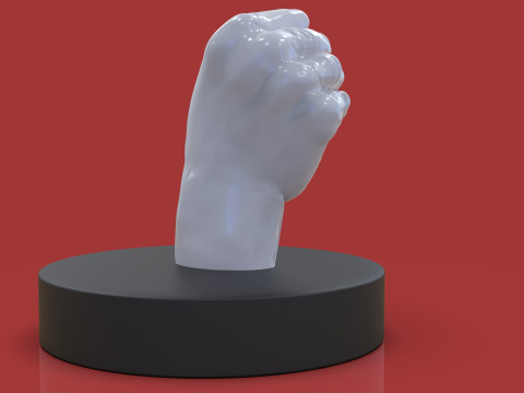 Doctors Hand Sculpture 3D Принт Модель