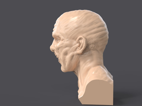 Jason Voorhes Bust 3D Модель