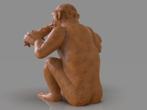 Chimp Ice Cream Addict 3D Модель