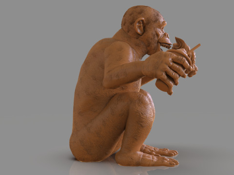 Chimp Ice Cream Addict 3D Модель
