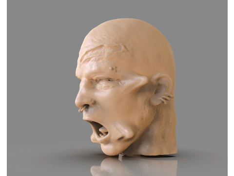 Prisoner Tortured Head 3D Print Model
