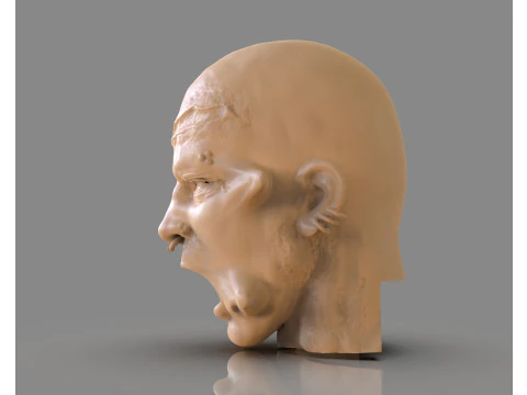 Prisoner Tortured Head 3D Print Model