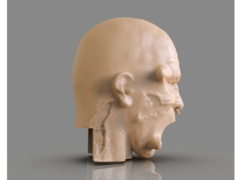 Prisoner Tortured Head 3D-printmodel