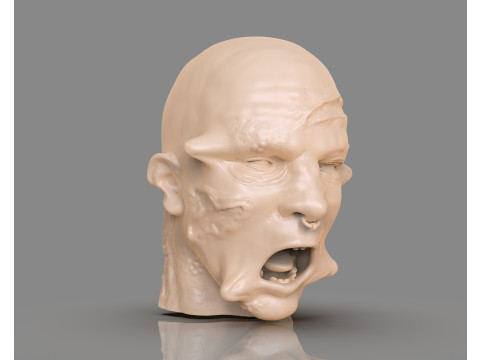 Prisoner Tortured Head 3D-printmodel