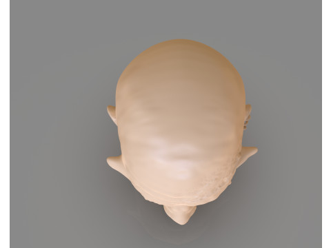 Prisoner Tortured Head 3D-printmodel