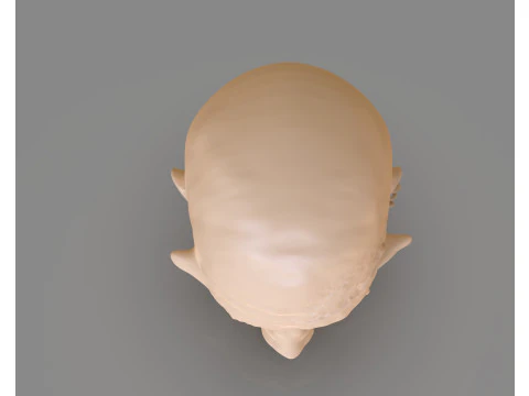 Prisoner Tortured Head 3D Print Model