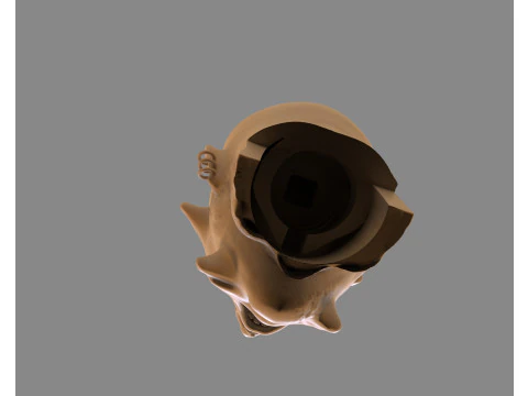 Prisoner Tortured Head 3D Print Model