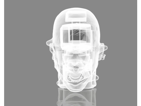 Prisoner Tortured Head 3D Print Model