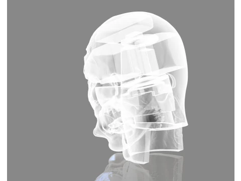 Prisoner Tortured Head 3D Print Model