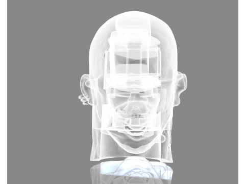 Prisoner Tortured Head 3D Print Model