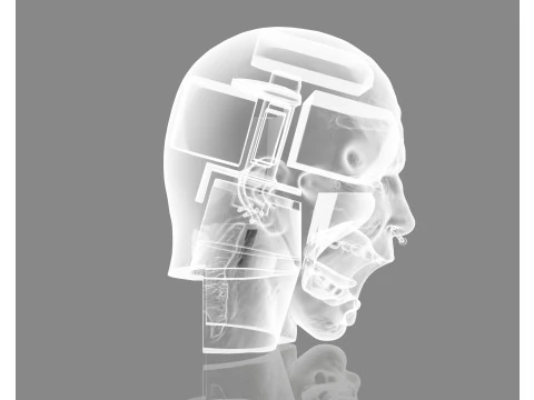 Prisoner Tortured Head 3D Print Model