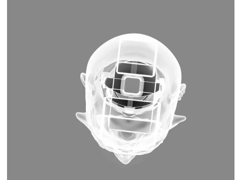 Prisoner Tortured Head 3D Print Model