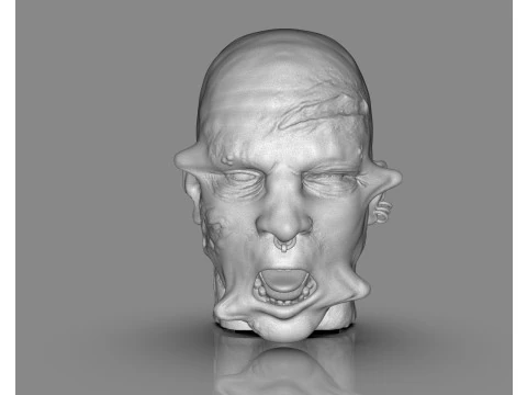 Prisoner Tortured Head 3D Print Model