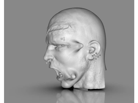 Prisoner Tortured Head 3D Print Model