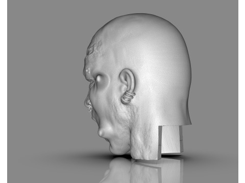 Prisoner Tortured Head 3D-printmodel